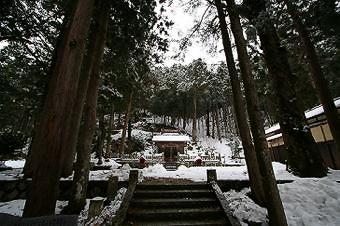 マウスクリックで拡大/縮小します