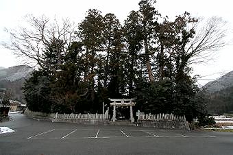 マウスクリックで拡大/縮小します