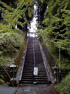 マウスクリックで拡大/縮小します