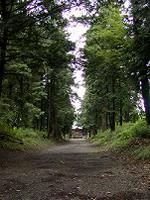 マウスクリックで拡大/縮小します