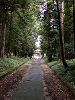 マウスクリックで拡大/縮小します