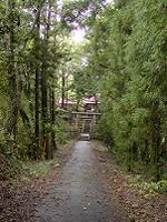 マウスクリックで拡大/縮小します