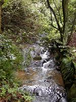 マウスクリックで拡大/縮小します