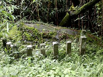 マウスクリックで拡大/縮小します