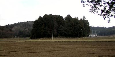 マウスクリックで拡大/縮小します