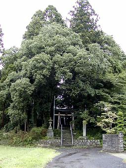 マウスクリックで拡大/縮小します