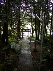 マウスクリックで拡大/縮小します