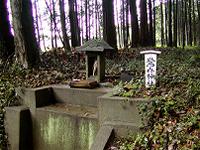 マウスクリックで拡大/縮小します