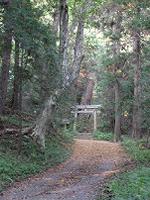 マウスクリックで拡大/縮小します