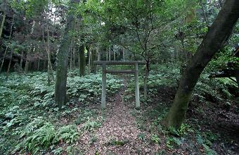 マウスクリックで拡大/縮小します