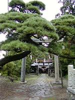 マウスクリックで拡大/縮小します