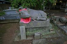 マウスクリックで拡大/縮小します