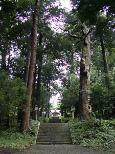 マウスクリックで拡大/縮小します