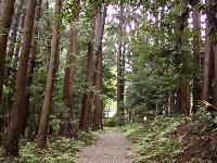 マウスクリックで拡大/縮小します