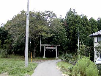 マウスクリックで拡大/縮小します