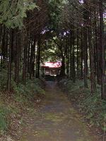 マウスクリックで拡大/縮小します