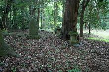 マウスクリックで拡大/縮小します