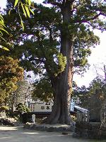 マウスクリックで拡大/縮小します