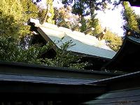 マウスクリックで拡大/縮小します