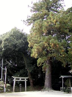 マウスクリックで拡大/縮小します