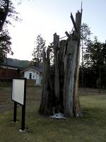 マウスクリックで拡大/縮小します