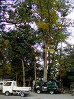 マウスクリックで拡大/縮小します