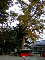 マウスクリックで拡大/縮小します