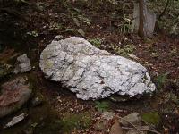 マウスクリックで拡大/縮小します