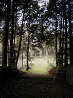 マウスクリックで拡大/縮小します