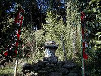 マウスクリックで拡大/縮小します