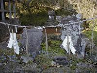 マウスクリックで拡大/縮小します