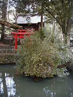 マウスクリックで拡大/縮小します