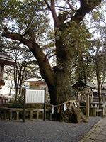 マウスクリックで拡大/縮小します