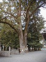 マウスクリックで拡大/縮小します