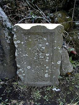 マウスクリックで拡大/縮小します