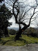 マウスクリックで拡大/縮小します