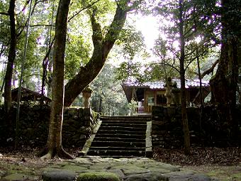 マウスクリックで拡大/縮小します