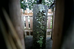 マウスクリックで拡大/縮小します