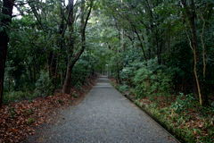 マウスクリックで拡大/縮小します