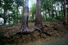 マウスクリックで拡大/縮小します