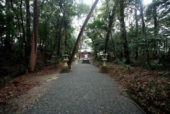 マウスクリックで拡大/縮小します