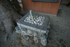 マウスクリックで拡大/縮小します