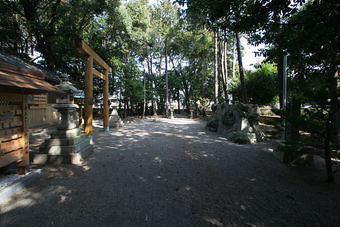 マウスクリックで拡大/縮小します