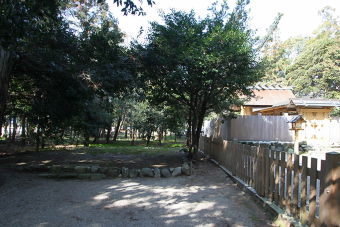 マウスクリックで拡大/縮小します