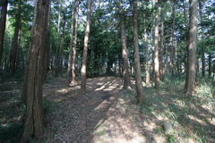 マウスクリックで拡大/縮小します