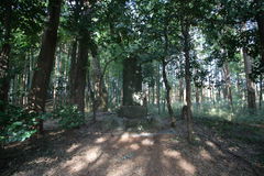 マウスクリックで拡大/縮小します