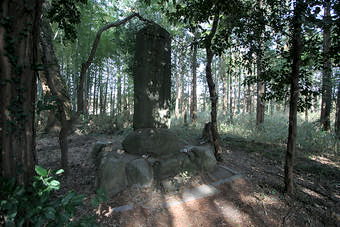 マウスクリックで拡大/縮小します