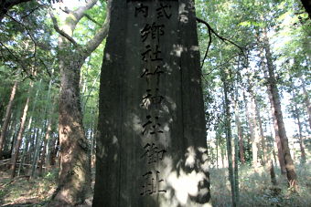 マウスクリックで拡大/縮小します