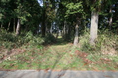 マウスクリックで拡大/縮小します