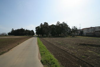 マウスクリックで拡大/縮小します